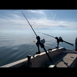 Meet your Posher, Cody